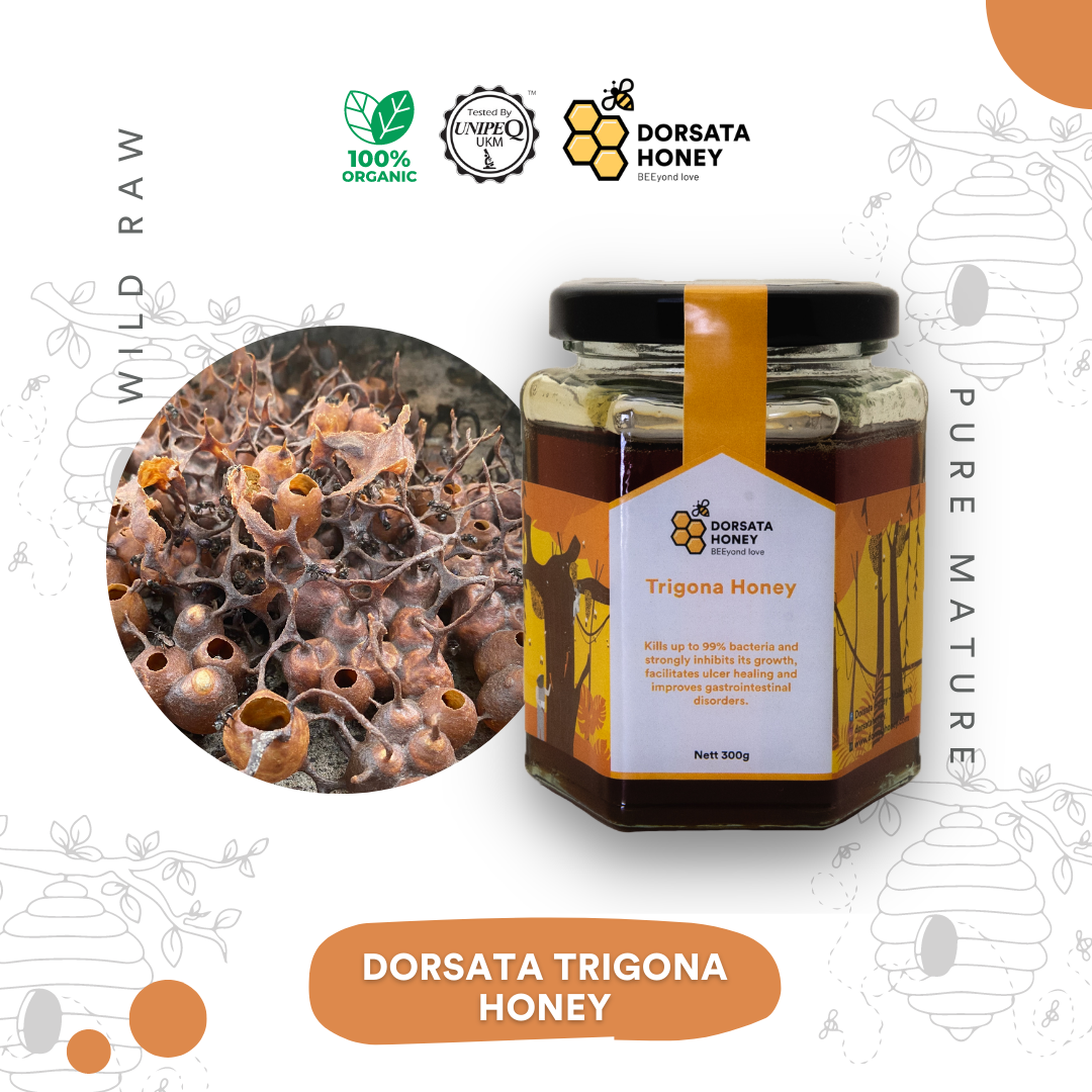 Dorsata Trigona Honey