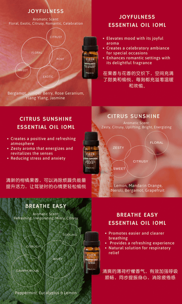 Set Hadiah CLEEN: Peresap Vent Kereta dengan Ikatan Minyak Pati