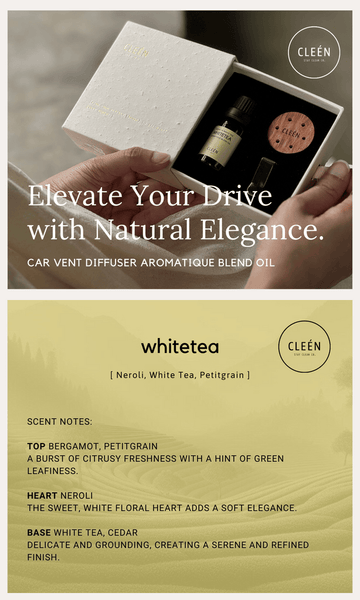 CLEEN Gift Set: Seasonal Limited Edition Car Vent Diffuser