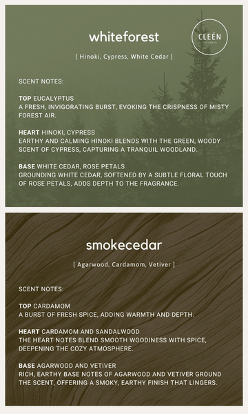 CLEEN Gift Set: Seasonal Limited Edition Car Vent Diffuser