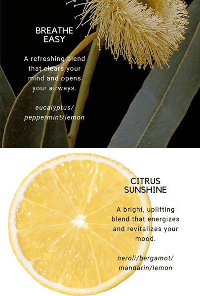 CLEEN Scent Blends Discovery Kit