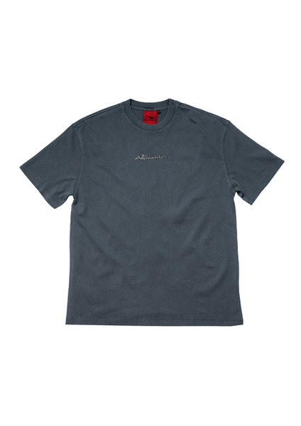 Gray t-shirt with a brand logo on a light gray background
