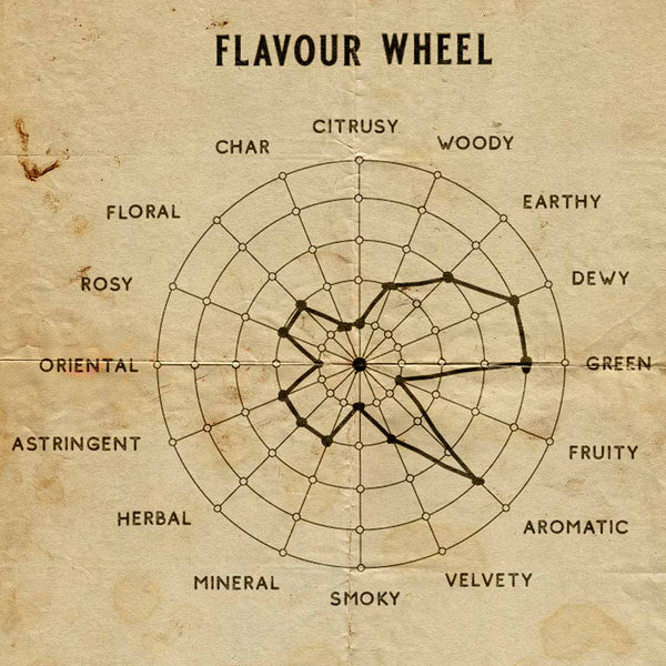 Senteur Lab Tea x Rose Perfume: No. 7 Lushea Dew (Green Tea & Centifolia Rose) 50 ml