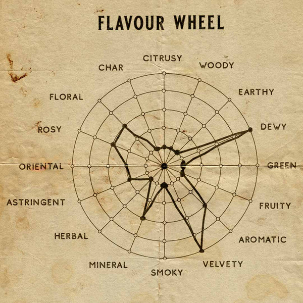 Senteur Lab Tea x Rose Perfume: No. 8 Silvalba Seren (White Tea x Alba Maxima) 50 ml