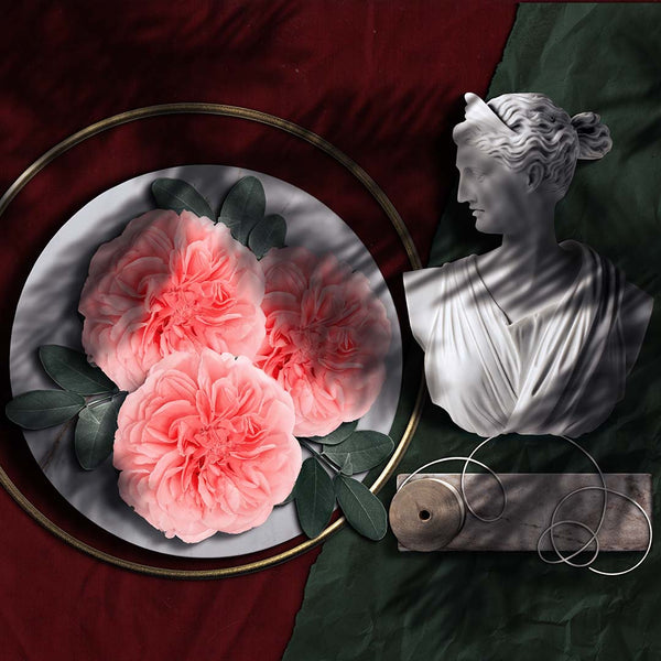 Senteur Lab Tea x Rose Perfume: No. 11 Rubylan Velvet (Black Tea & Abraham Darby) 50 ml