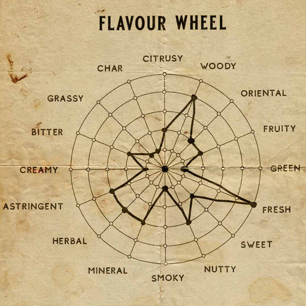 Senteur Lab Tea Origin Perfume: No. 5 Valley Mist Elixir (Black Tea) 50 ml