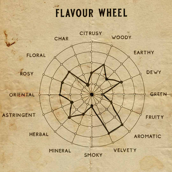 Senteur Lab Tea x Rose Perfume: No. 9 Ambreau Lumen (Yellow Tea & Bourbon Rose) 50 ml