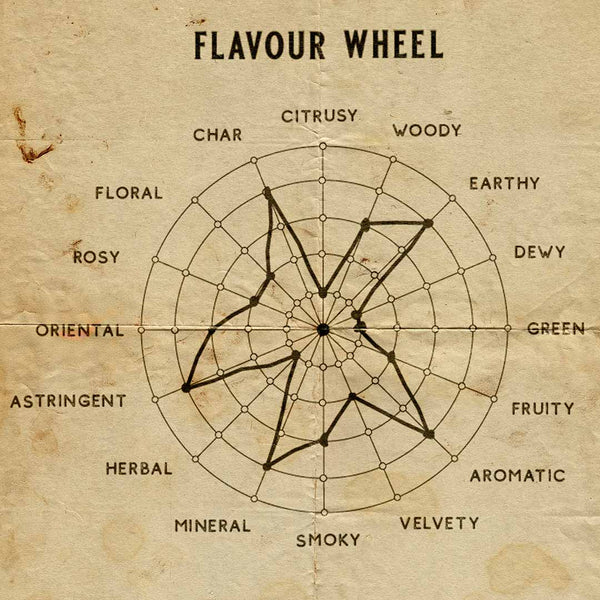 Senteur Lab Tea x Rose Perfume: No. 10 Olomere Revere (Oolong Tea & Damask Rose) 50 ml