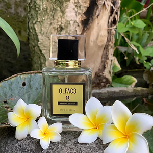 OLFAC3 Perfume: Q EDP