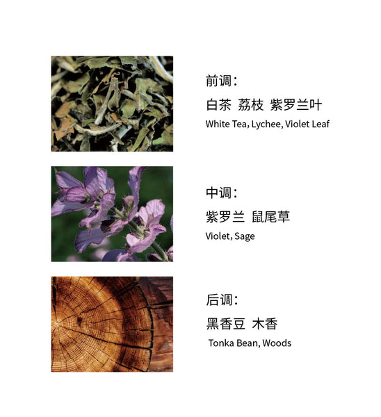 L'ORIGINAL Scented Tea Bag Collection | Sage White Tea